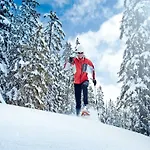 In Sankt Johann Near Slopes Alpehytte *