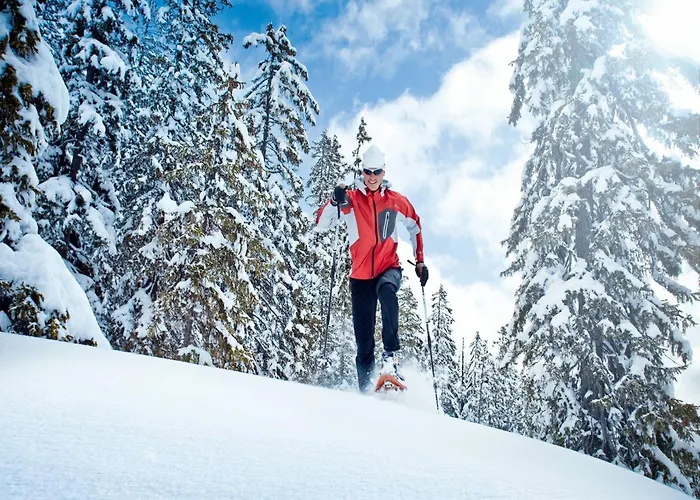 In Sankt Johann Near Slopes Chalé *